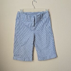 Blue Striped Bermuda Shorts